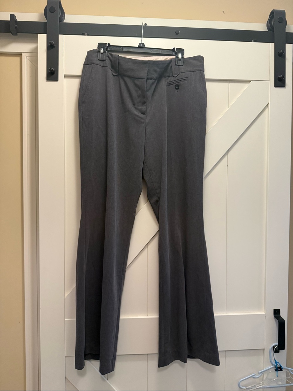 LOFT Julie cut Business pants